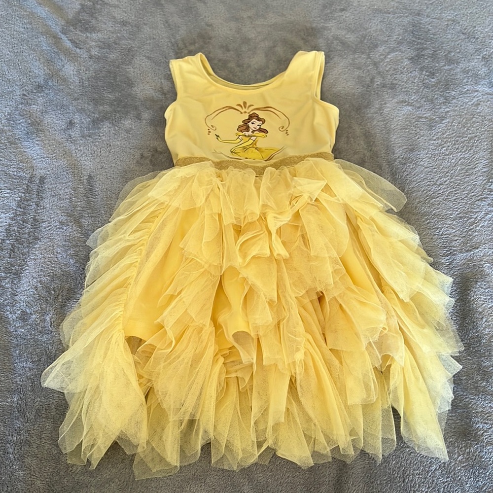 Disney Princess Dress